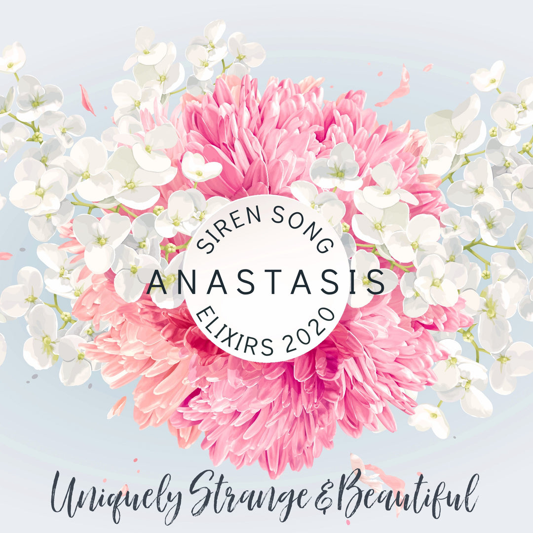 Anastasis (Lotus, Bamboo, Orchid, Rice Milk, Jasmine Milk, Coconut Milk, Labdanum)