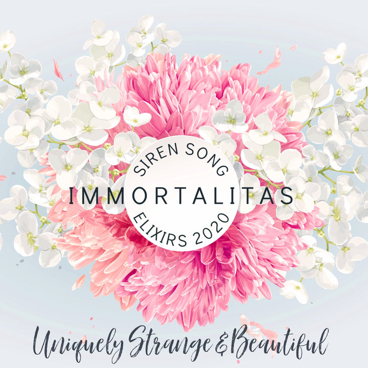 Immortalitas (Red Hibiscus, Peach Bellini, Mandarin, Tahitian Vanilla, Coconut Milk, Labdanum)